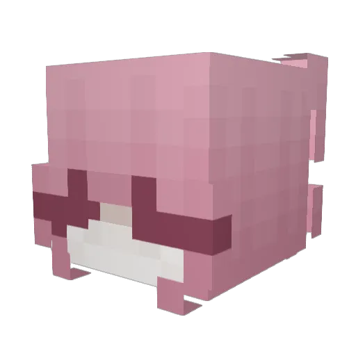 Lama462 Minecraft avatar head, 3D render