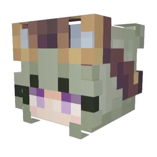Lama54782 Minecraft avatar head, 3D render