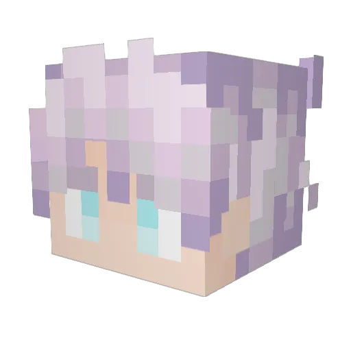 Lama597 Minecraft avatar head, 3D render