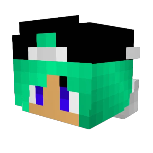 Lama_Lov3r Minecraft avatar head, 3D render