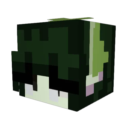 Lamamc1 Minecraft avatar head, 3D render