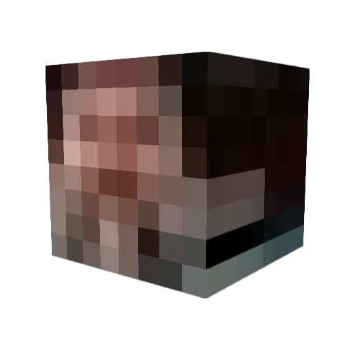 Lamanu Minecraft avatar head, 3D render