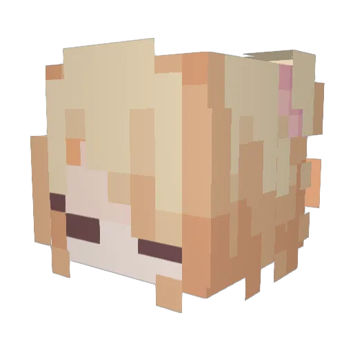 LameSlaine Minecraft avatar head, 3D render