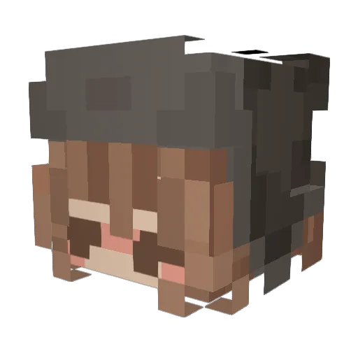 Lame_Lain Minecraft avatar head, 3D render