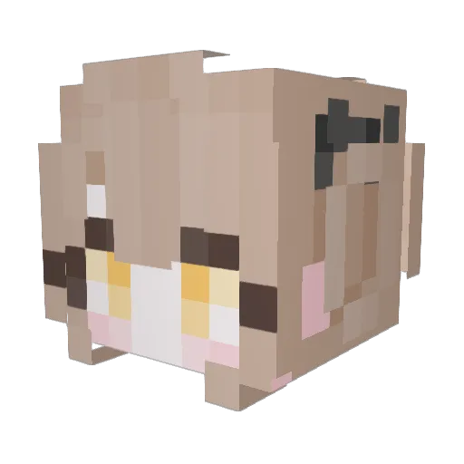 Lamin_4657 Minecraft avatar head, 3D render