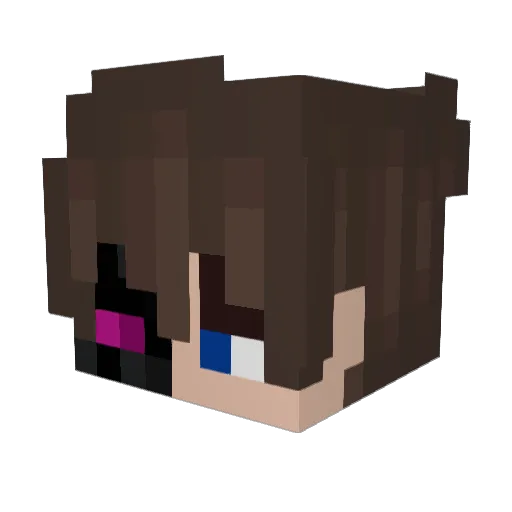 LaminatedPickle1 Minecraft avatar head, 3D render