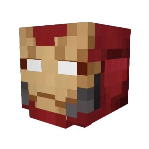 LamineSdn Minecraft avatar head, 3D render