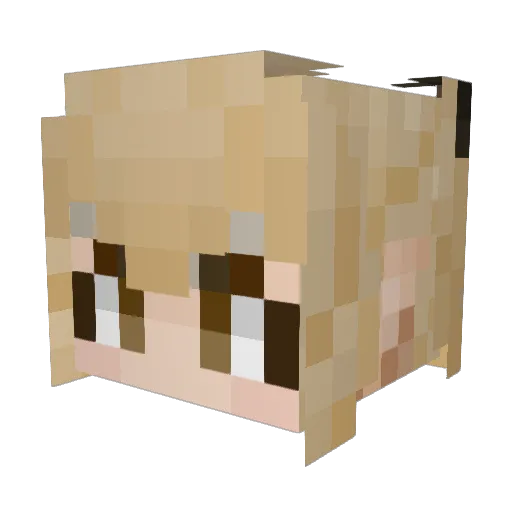 Lamitt Minecraft avatar head, 3D render