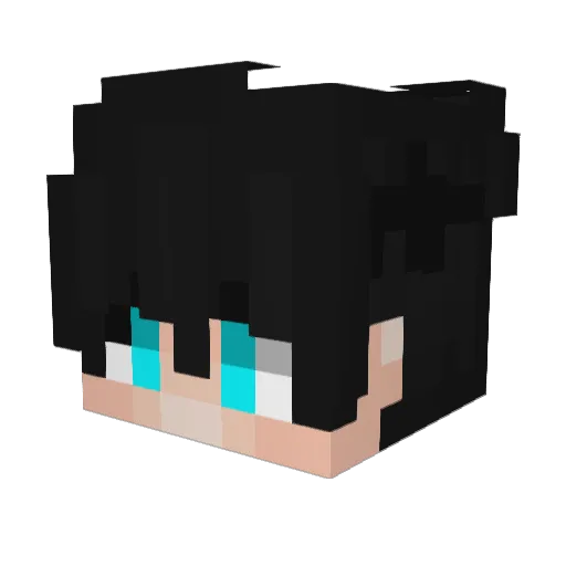 LamoLmao Minecraft avatar head, 3D render