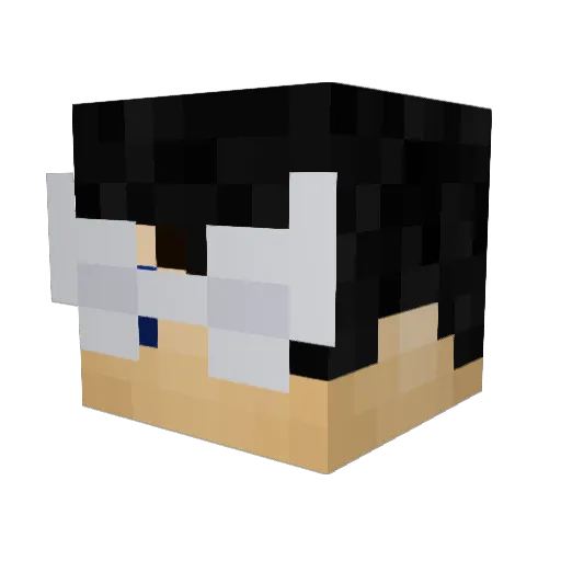Lamp_Lighter72 Minecraft avatar head, 3D render