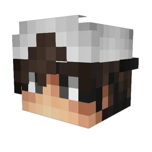 Lampiaum12 Minecraft avatar head, 3D render