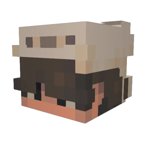 Lamploo Minecraft avatar head, 3D render