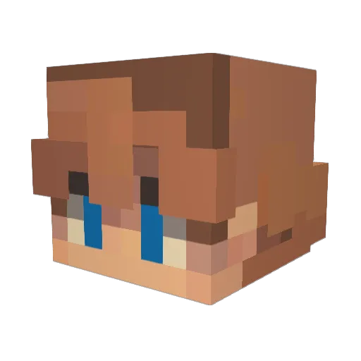 Lampy45 Minecraft avatar head, 3D render