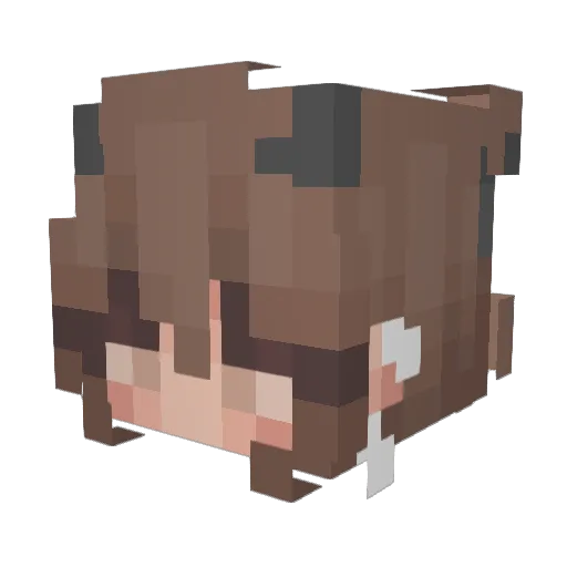 Lan2004 Minecraft avatar head, 3D render