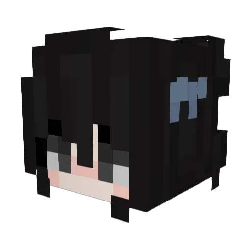 Lan246 Minecraft avatar head, 3D render
