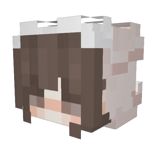 LanMeiMei_Aruay Minecraft avatar head, 3D render