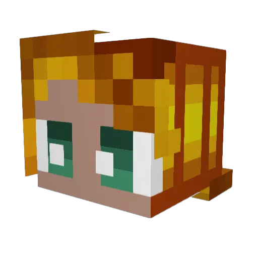 LanNetwork Minecraft avatar head, 3D render