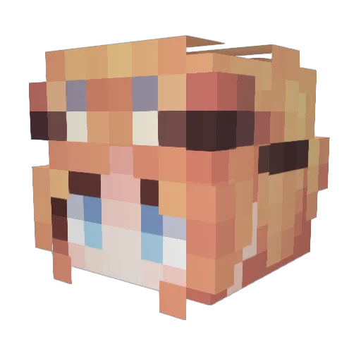 LanShi433 Minecraft avatar head, 3D render