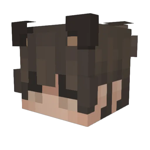 LanTianY Minecraft avatar head, 3D render