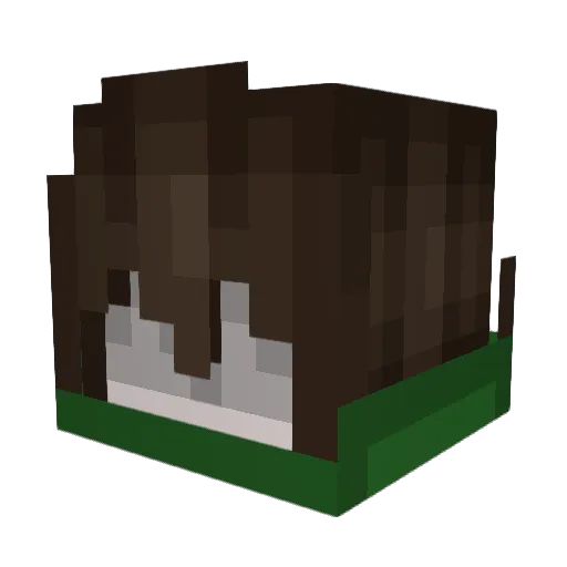 LanYv Minecraft avatar head, 3D render