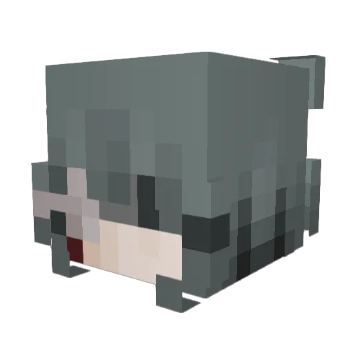 Lan_Xvan Minecraft avatar head, 3D render