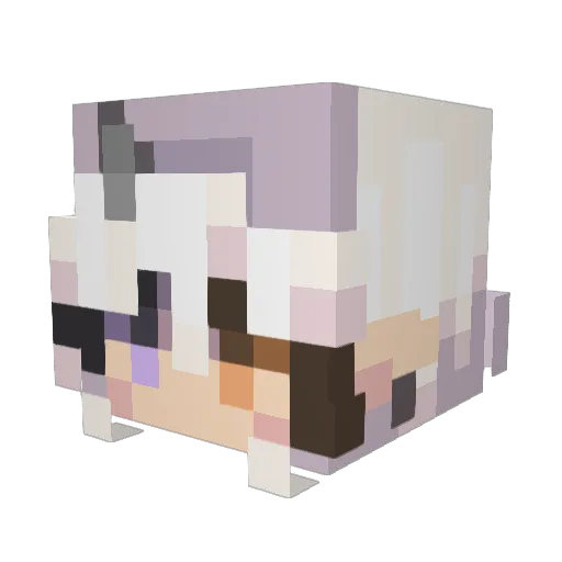 Lana2306 Minecraft avatar head, 3D render