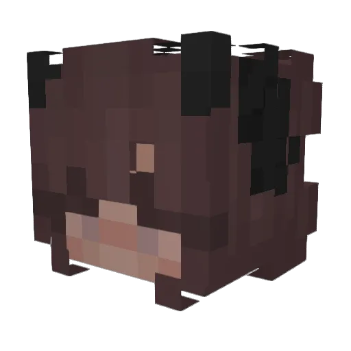 LanaDz Minecraft avatar head, 3D render