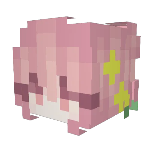 Lana_Co Minecraft avatar head, 3D render