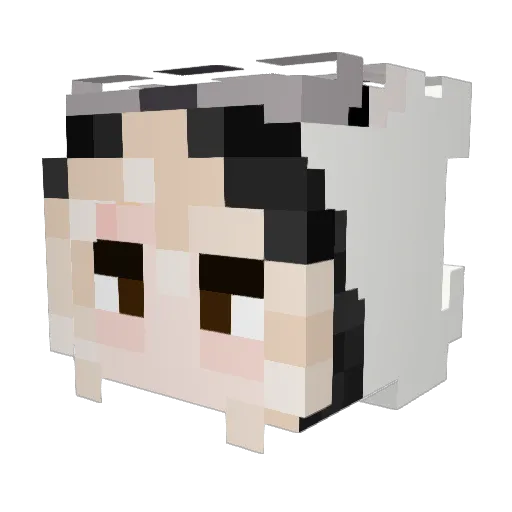 Lananyaa Minecraft avatar head, 3D render