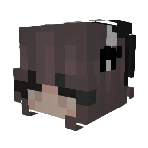 Lanaxs12 Minecraft avatar head, 3D render