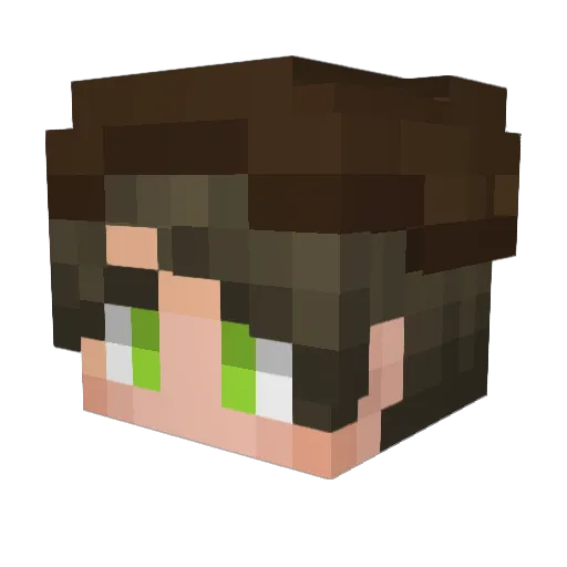 Lanbing_ice Minecraft avatar head, 3D render