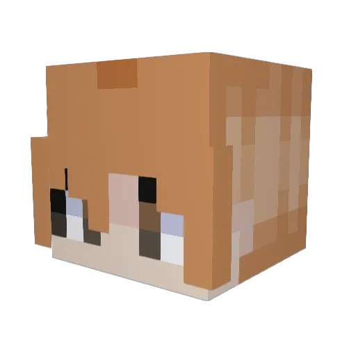 Lance27 Minecraft avatar head, 3D render