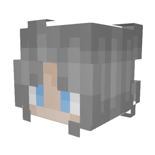 Lance776 Minecraft avatar head, 3D render
