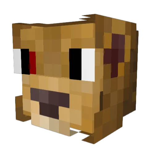 Lance9231 Minecraft avatar head, 3D render
