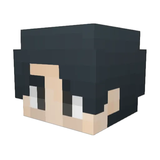 Lanceis Minecraft avatar head, 3D render