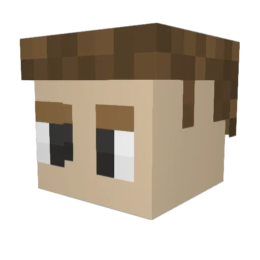 LancerWolf99 Minecraft avatar head, 3D render