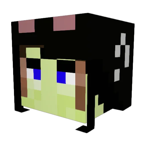 Lancer_233 Minecraft avatar head, 3D render