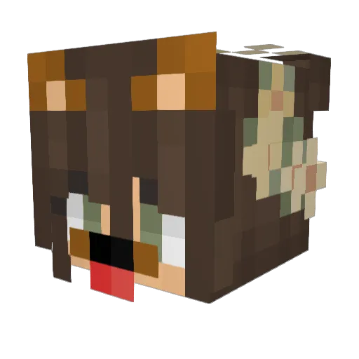 Land1004 Minecraft avatar head, 3D render