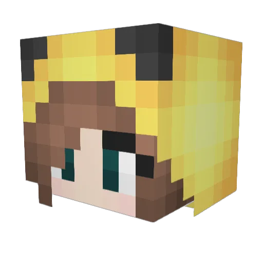 LandFieldCC Minecraft avatar head, 3D render