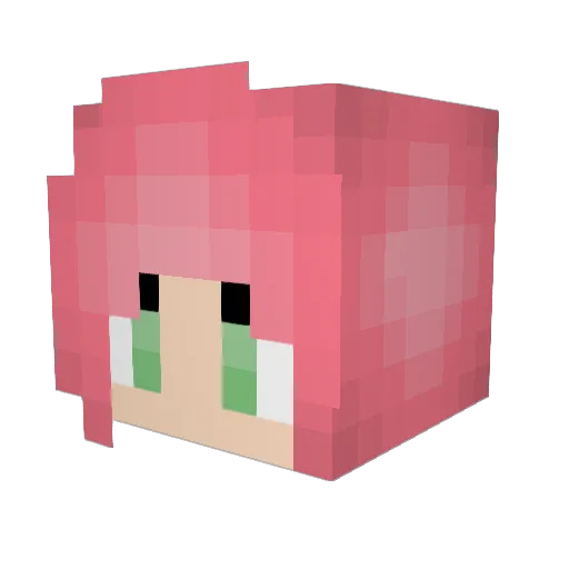 LandOLlakes Minecraft avatar head, 3D render