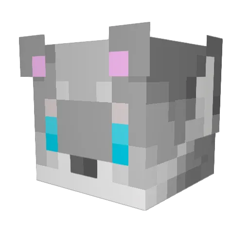 Land_mey Minecraft avatar head, 3D render