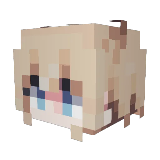 Land_pen Minecraft avatar head, 3D render