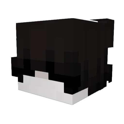 Landagon Minecraft avatar head, 3D render