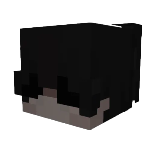Landai_ Minecraft avatar head, 3D render