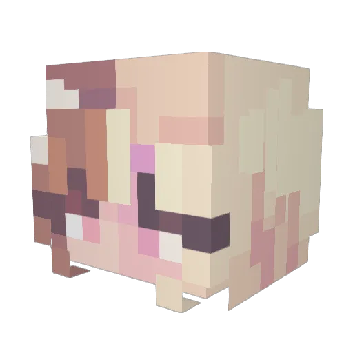 LandaniaArena Minecraft avatar head, 3D render