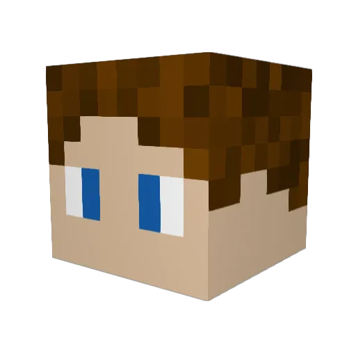 Landel1024 Minecraft avatar head, 3D render