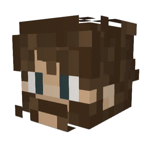 Landen1775 Minecraft avatar head, 3D render