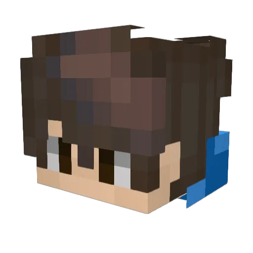 Lander4410 Minecraft avatar head, 3D render