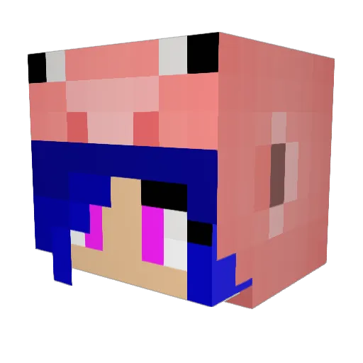 LanderAlt06 Minecraft avatar head, 3D render
