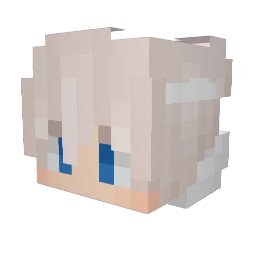 Landerr67 Minecraft avatar head, 3D render
